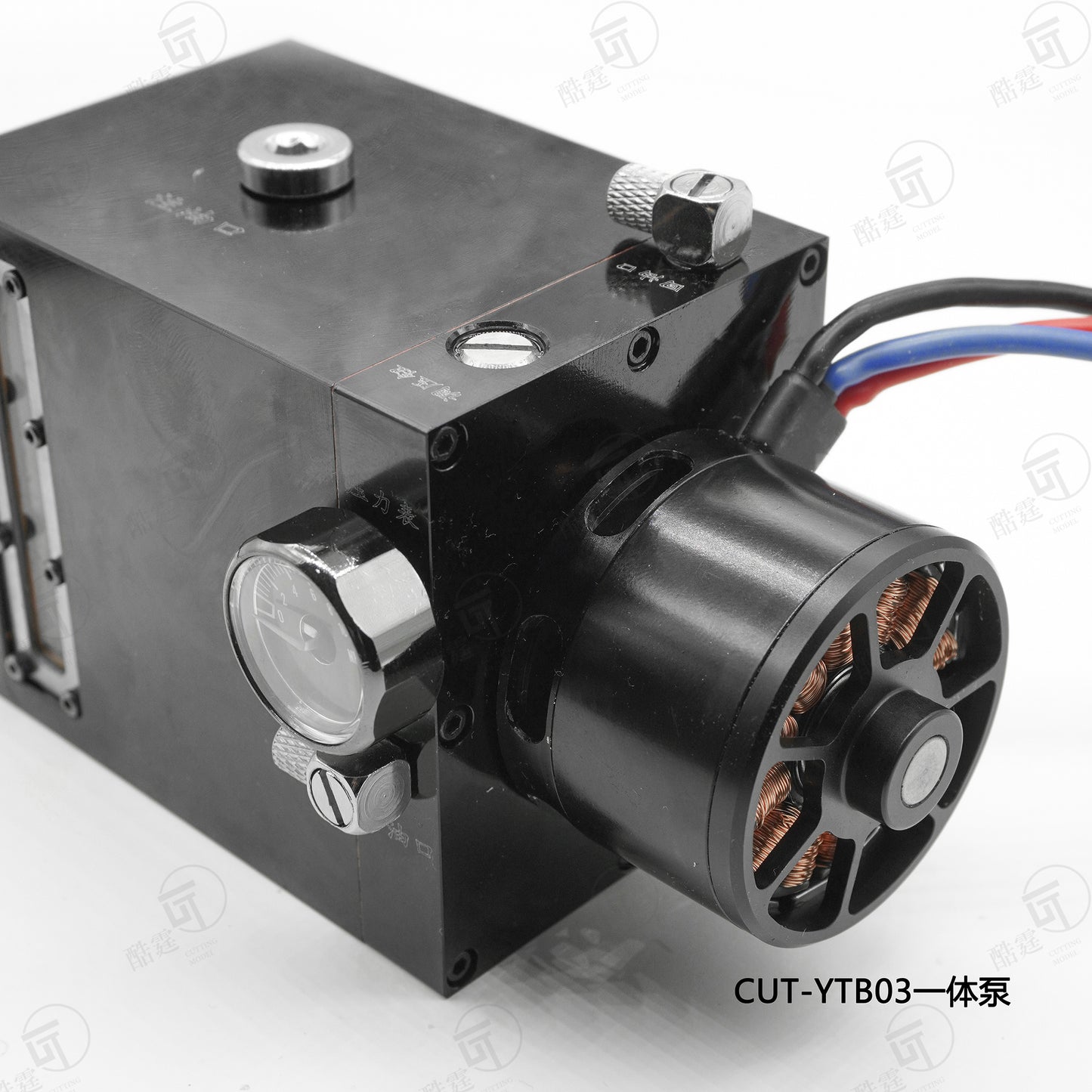 CUT Model CUT-YTB03 model hydraulic integrated pump with integrated pump tank and Italian pump head