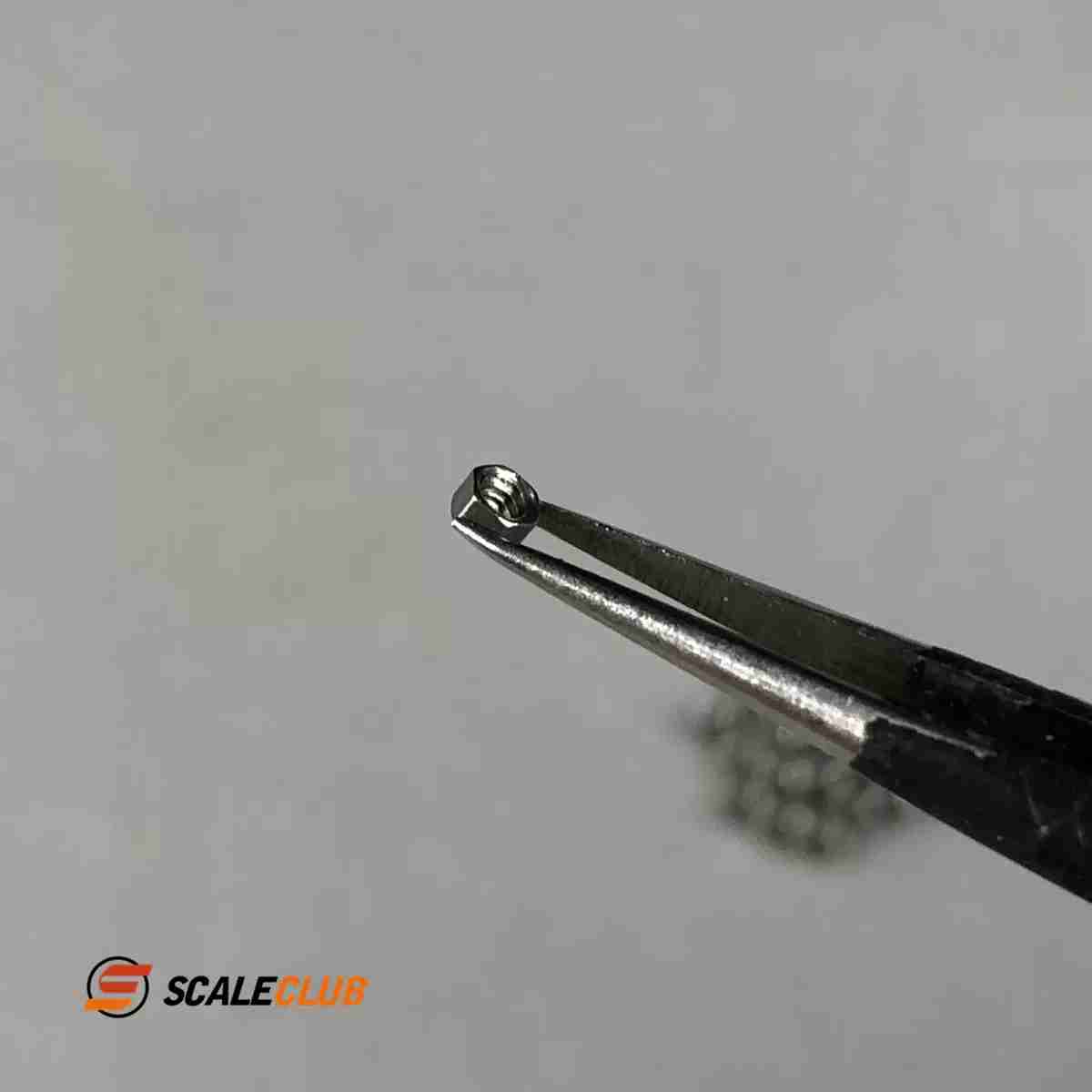scaleclub Custom 1.6mm Nut Screw Hexagonal (2.0mm) Screw