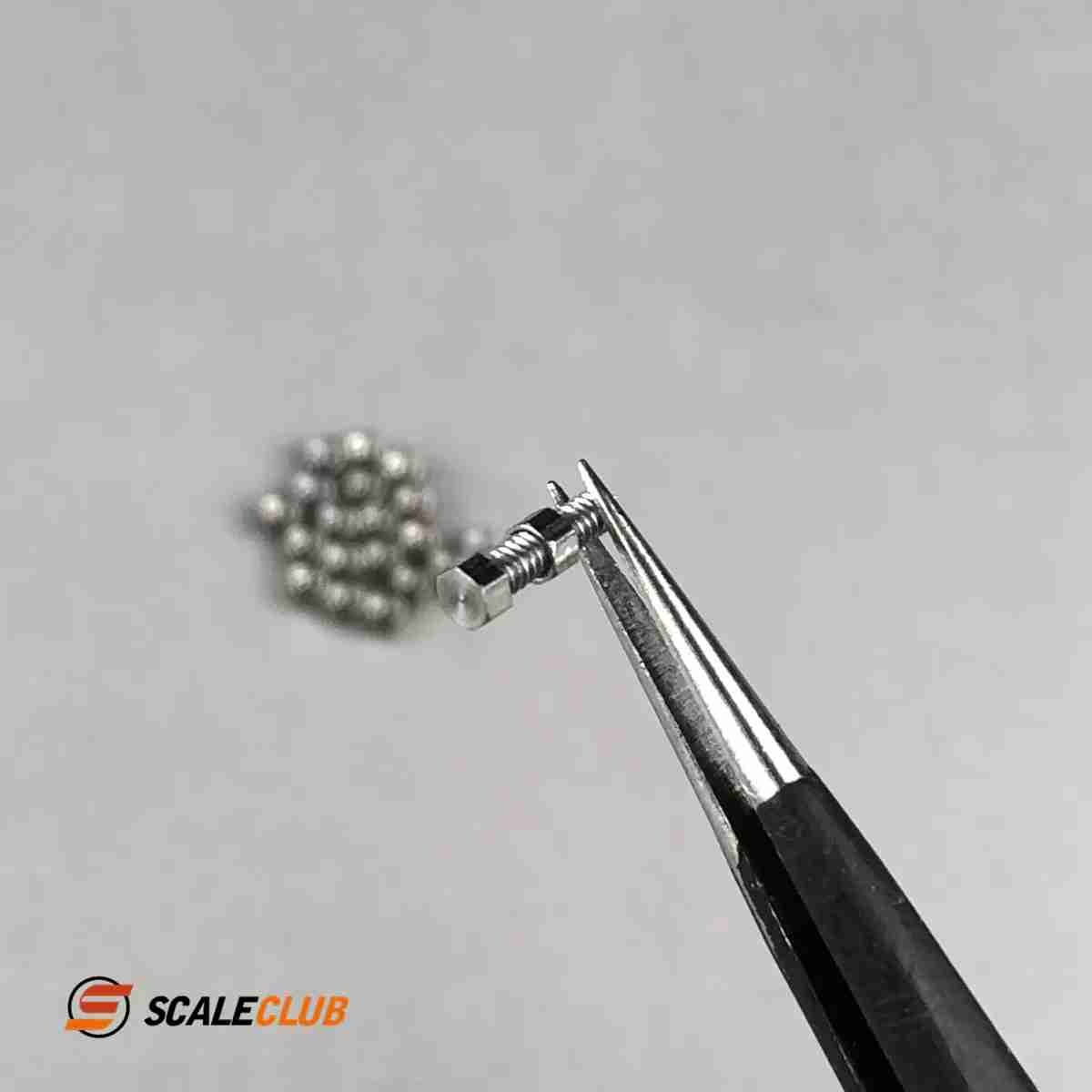 scaleclub Custom 1.6mm Nut Screw Hexagonal (2.0mm) Screw