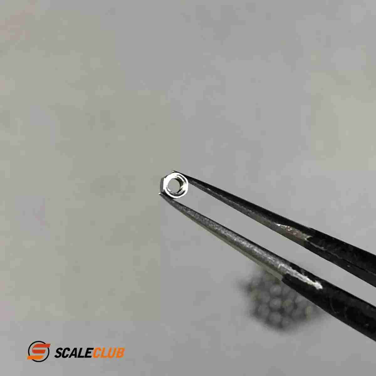 scaleclub Custom 1.6mm Nut Screw Hexagonal (2.0mm) Screw